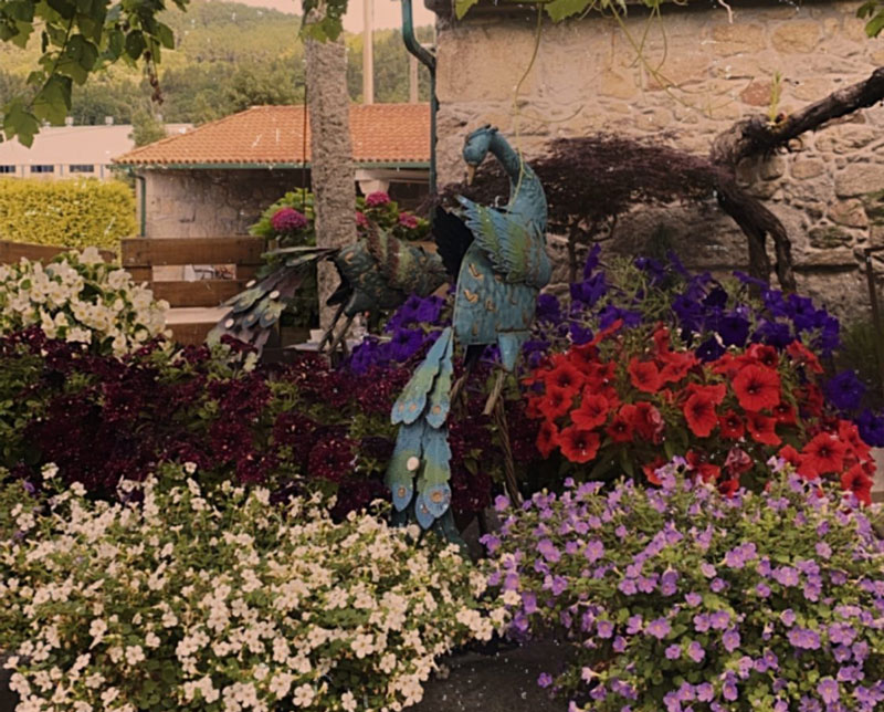Jardín con flores y decoración exterior en Bar Casa Samuel